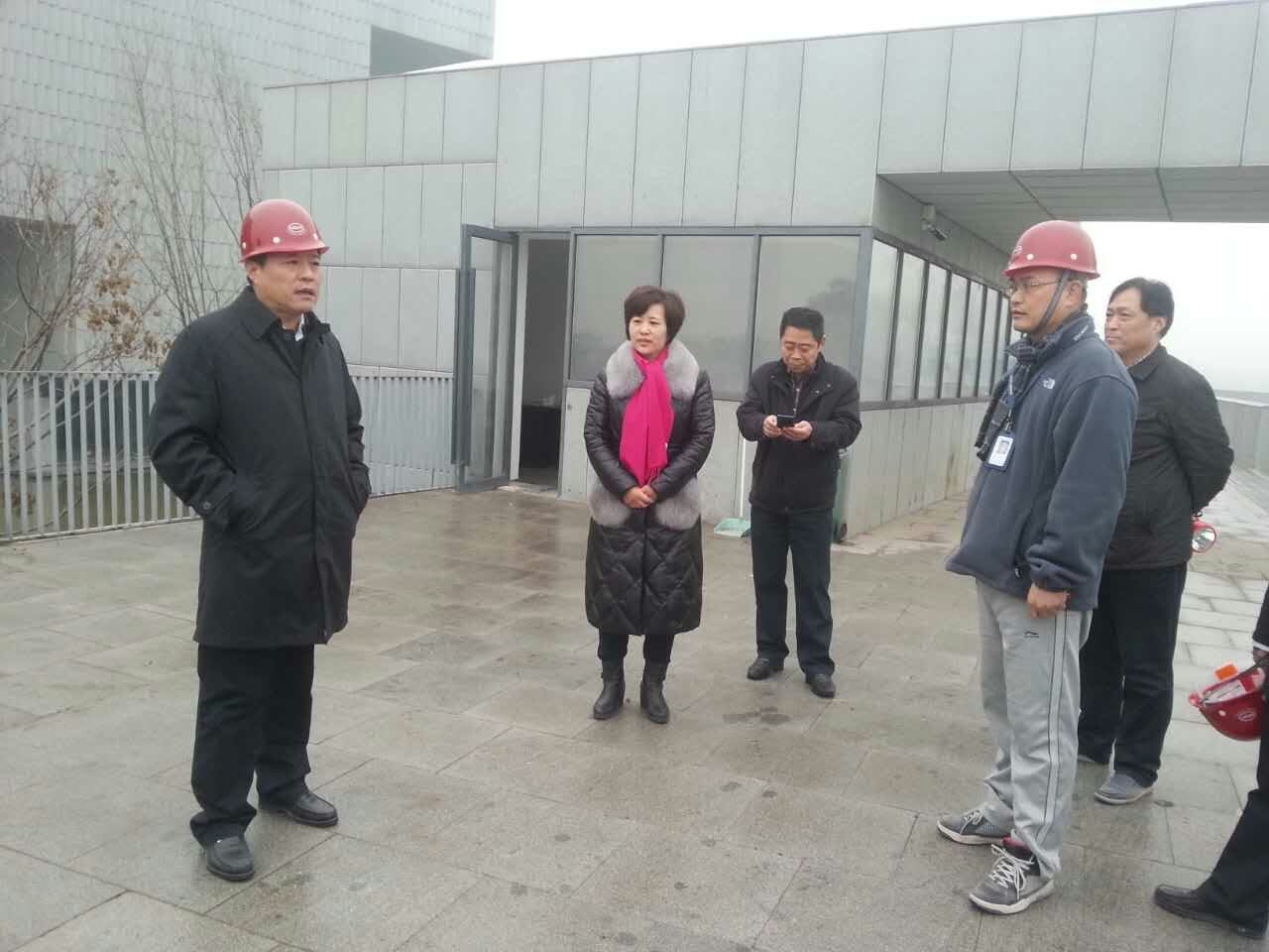 商丘市常务副市长史根治,副市长岳爱云一行领导视察项目